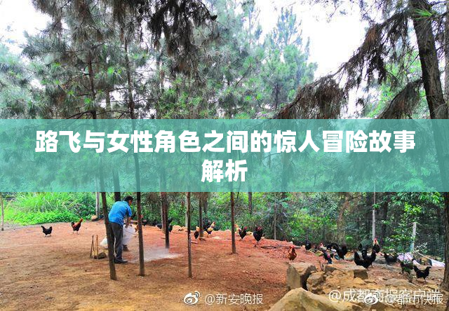 路飞与女性角色之间的惊人冒险故事解析