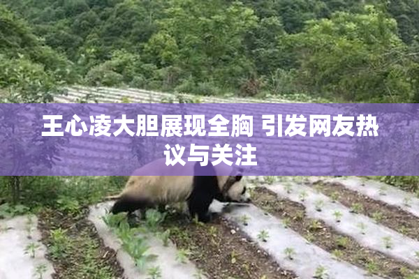 王心凌大胆展现全胸 引发网友热议与关注