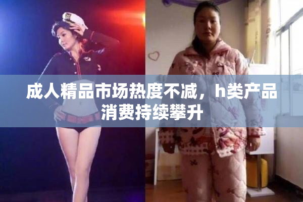 成人精品市场热度不减，h类产品消费持续攀升