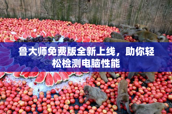鲁大师免费版全新上线，助你轻松检测电脑性能