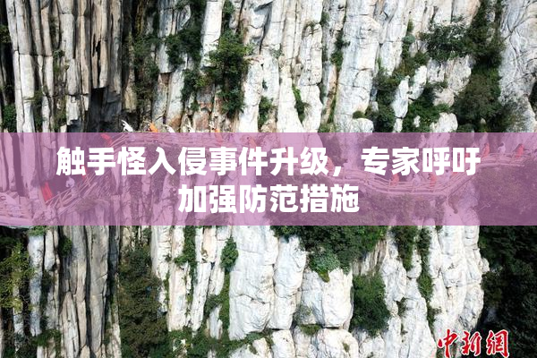 触手怪入侵事件升级，专家呼吁加强防范措施