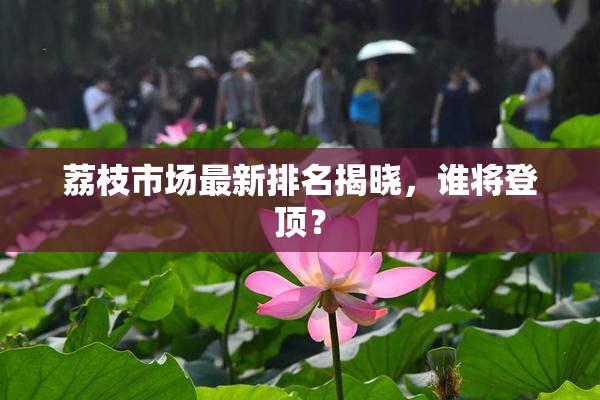 荔枝市场最新排名揭晓，谁将登顶？