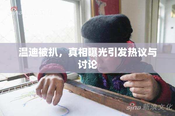 温迪被扒，真相曝光引发热议与讨论