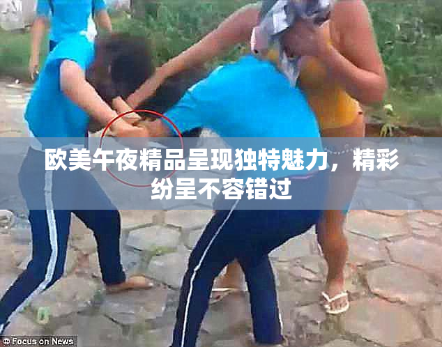 欧美午夜精品呈现独特魅力，精彩纷呈不容错过