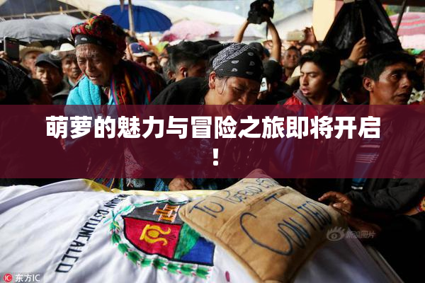萌萝的魅力与冒险之旅即将开启！