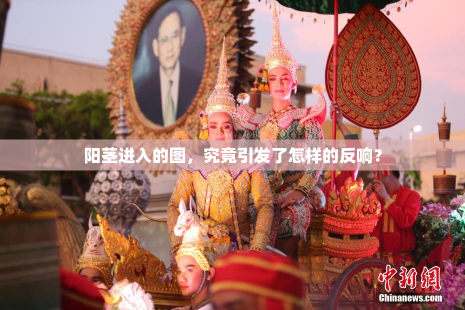 阳茎进入的图，究竟引发了怎样的反响？