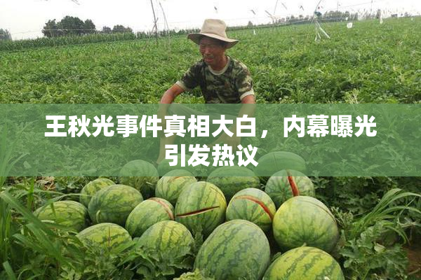 王秋光事件真相大白，内幕曝光引发热议
