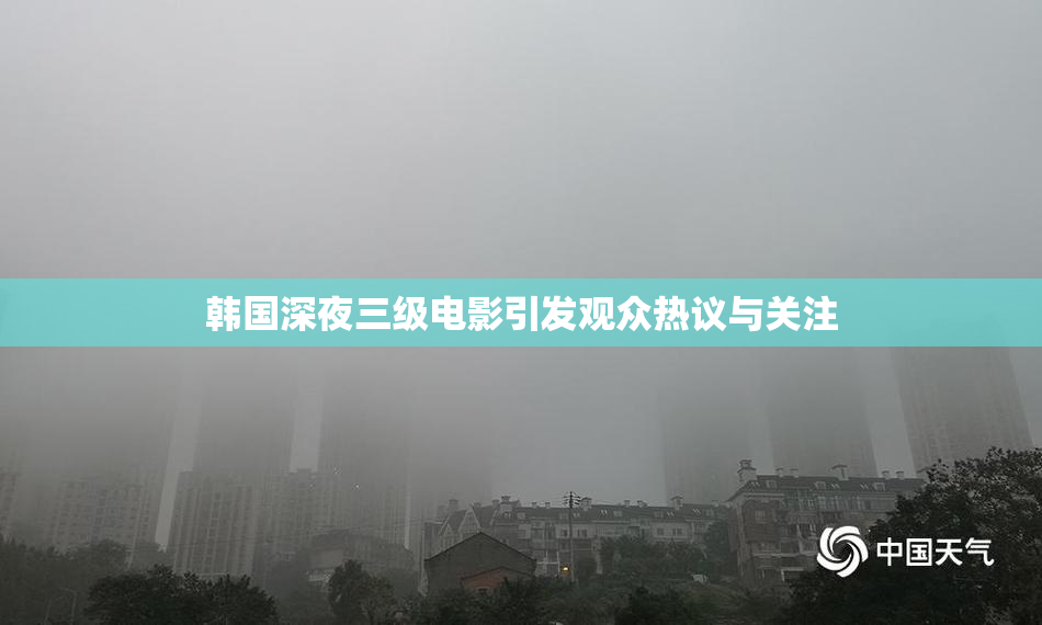 韩国深夜三级电影引发观众热议与关注