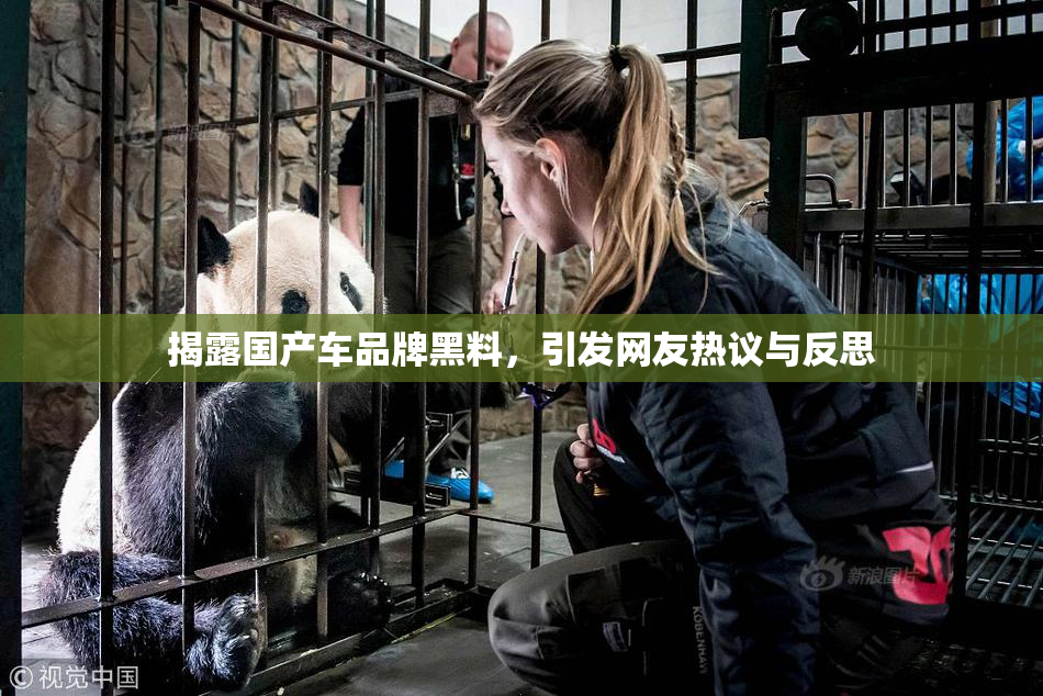 揭露国产车品牌黑料，引发网友热议与反思