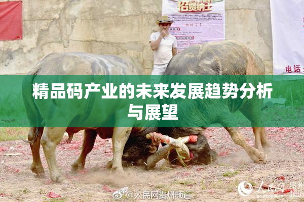 精品码产业的未来发展趋势分析与展望