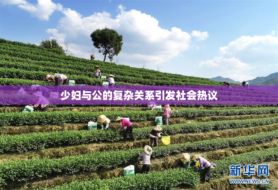 少妇与公的复杂关系引发社会热议