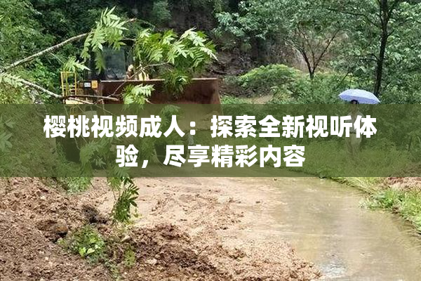 樱桃视频成人：探索全新视听体验，尽享精彩内容
