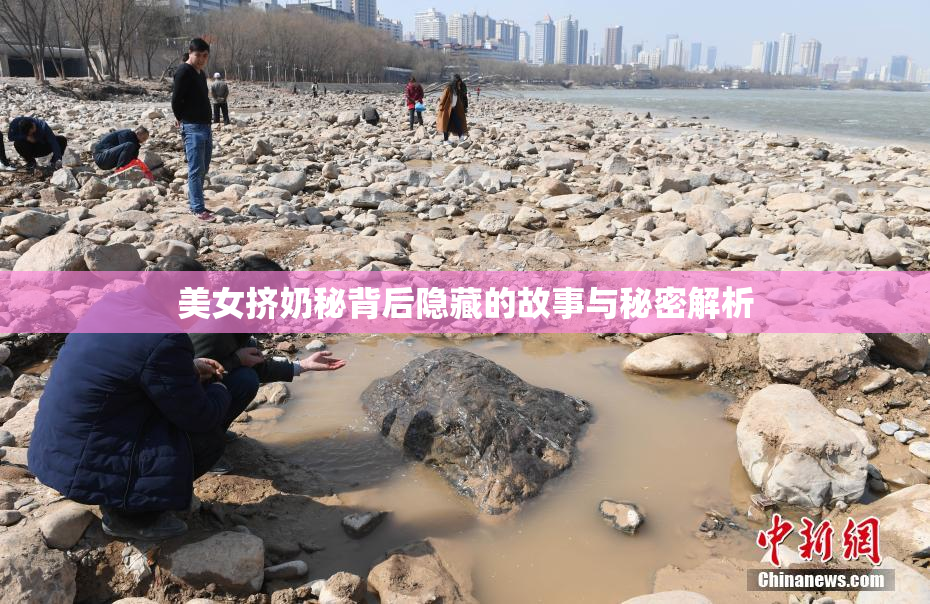 美女挤奶秘背后隐藏的故事与秘密解析