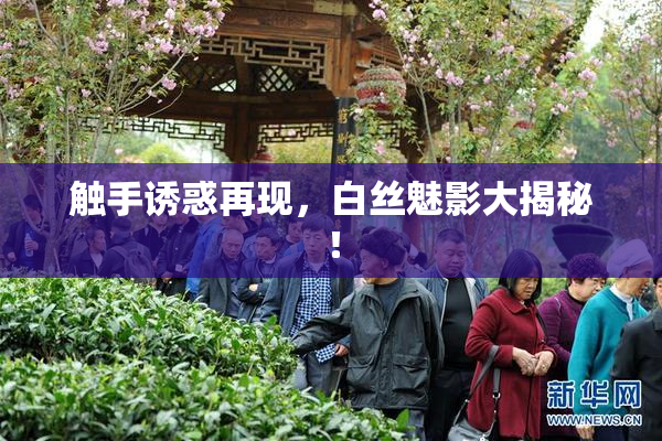 触手诱惑再现，白丝魅影大揭秘！