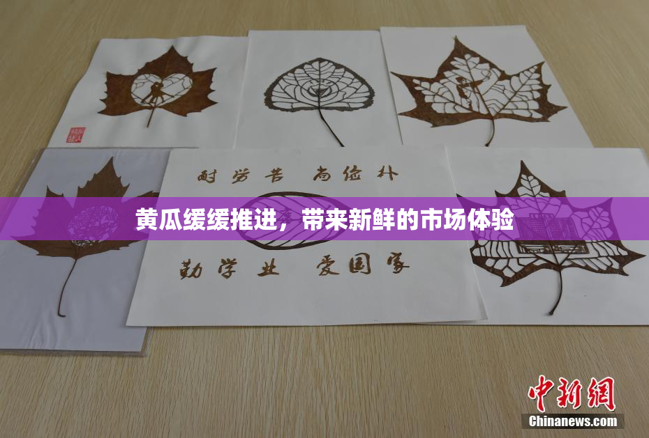 黄瓜缓缓推进，带来新鲜的市场体验