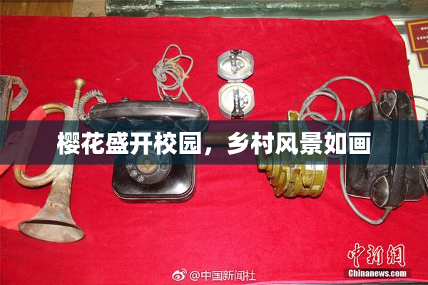 樱花盛开校园，乡村风景如画