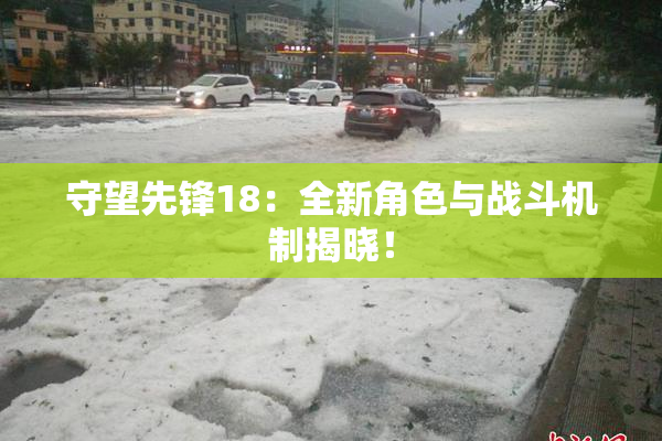 守望先锋18：全新角色与战斗机制揭晓！