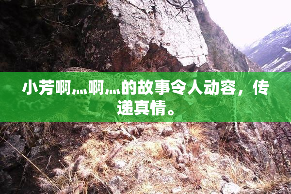 小芳啊灬啊灬的故事令人动容，传递真情。