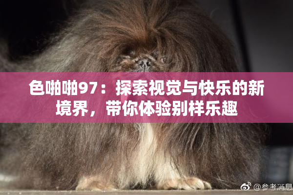 色啪啪97：探索视觉与快乐的新境界，带你体验别样乐趣