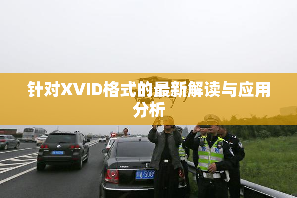 针对XVID格式的最新解读与应用分析