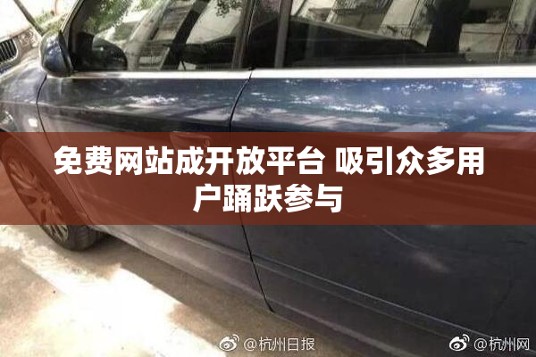 免费网站成开放平台 吸引众多用户踊跃参与