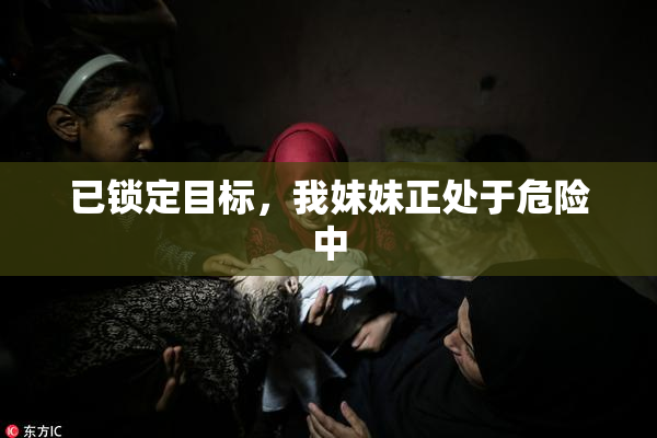 已锁定目标，我妹妹正处于危险中