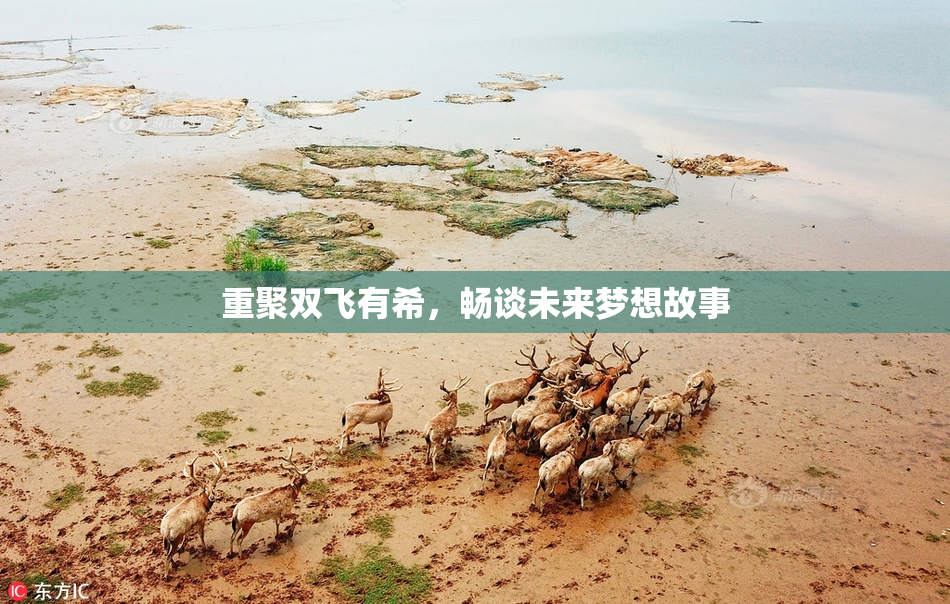 重聚双飞有希，畅谈未来梦想故事