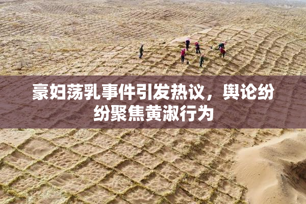 豪妇荡乳事件引发热议，舆论纷纷聚焦黄淑行为