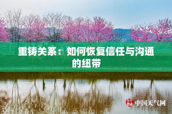 重铸关系：如何恢复信任与沟通的纽带