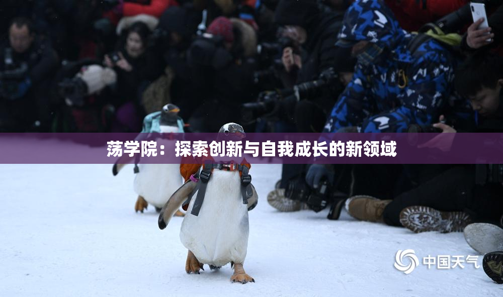 荡学院：探索创新与自我成长的新领域
