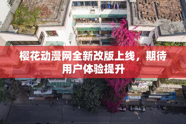 樱花动漫网全新改版上线，期待用户体验提升