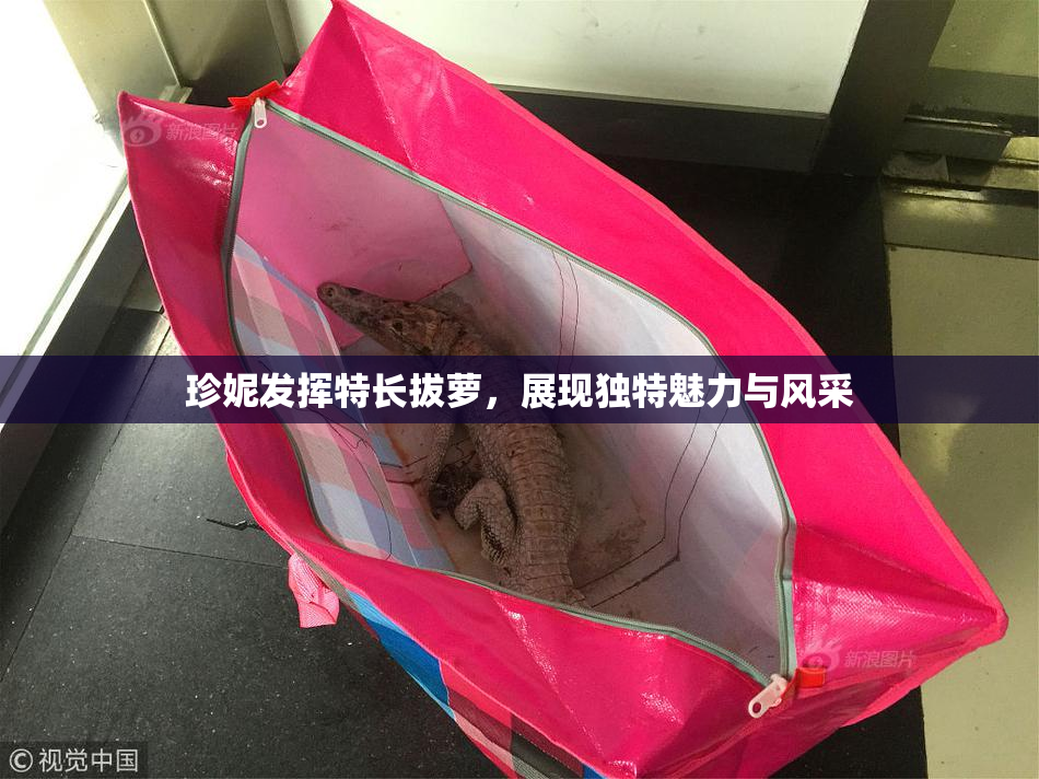 珍妮发挥特长拔萝，展现独特魅力与风采