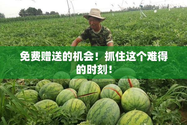 免费赠送的机会！抓住这个难得的时刻！