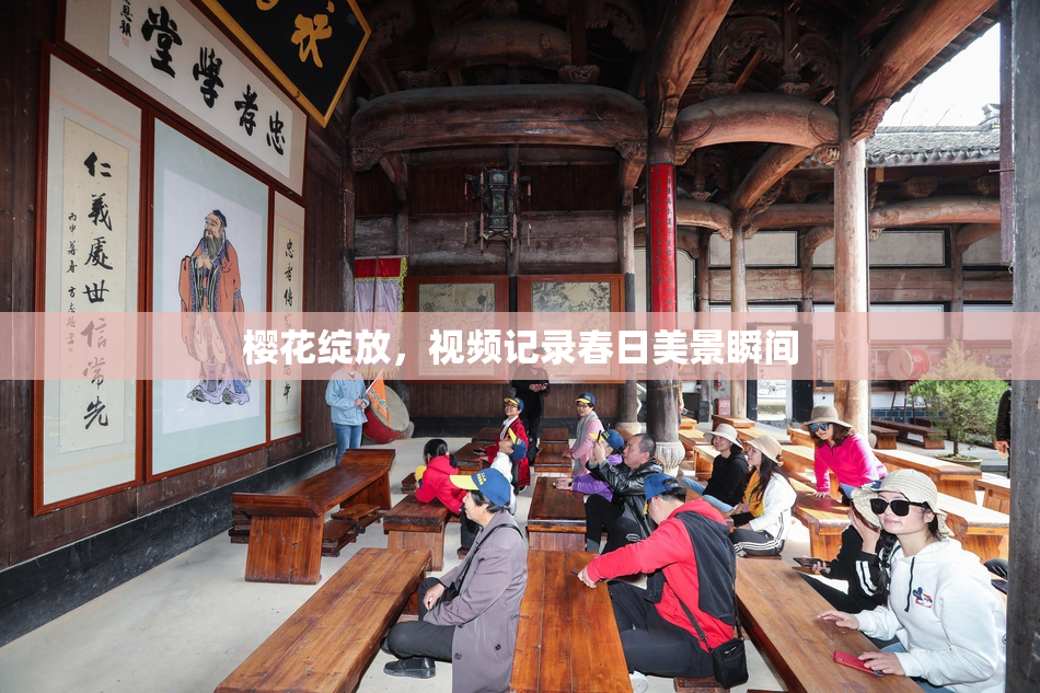 樱花绽放，视频记录春日美景瞬间
