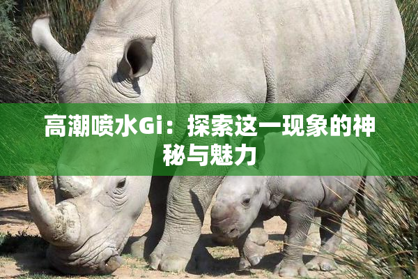 高潮喷水Gi：探索这一现象的神秘与魅力