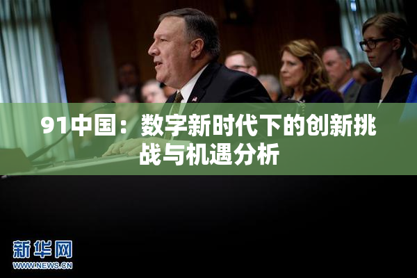91中国：数字新时代下的创新挑战与机遇分析