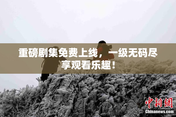 重磅剧集免费上线，一级无码尽享观看乐趣！