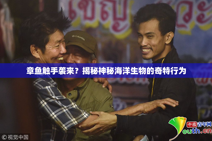 章鱼触手袭来？揭秘神秘海洋生物的奇特行为