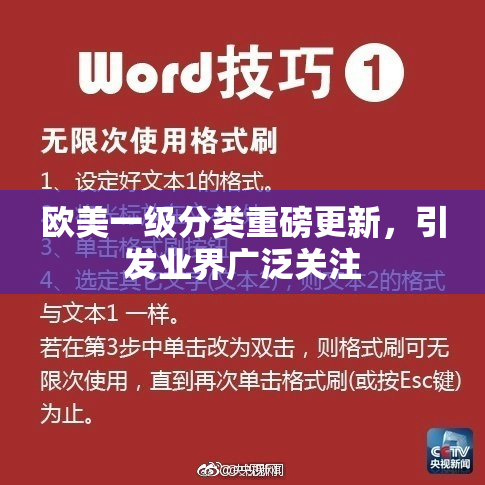 欧美一级分类重磅更新，引发业界广泛关注