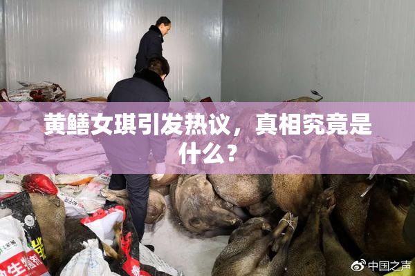 黄鳝女琪引发热议，真相究竟是什么？