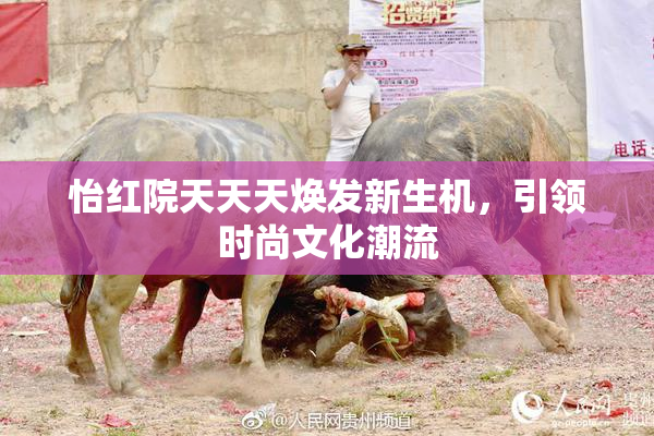 怡红院天天天焕发新生机，引领时尚文化潮流