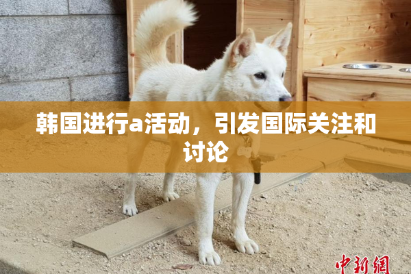 韩国进行a活动，引发国际关注和讨论