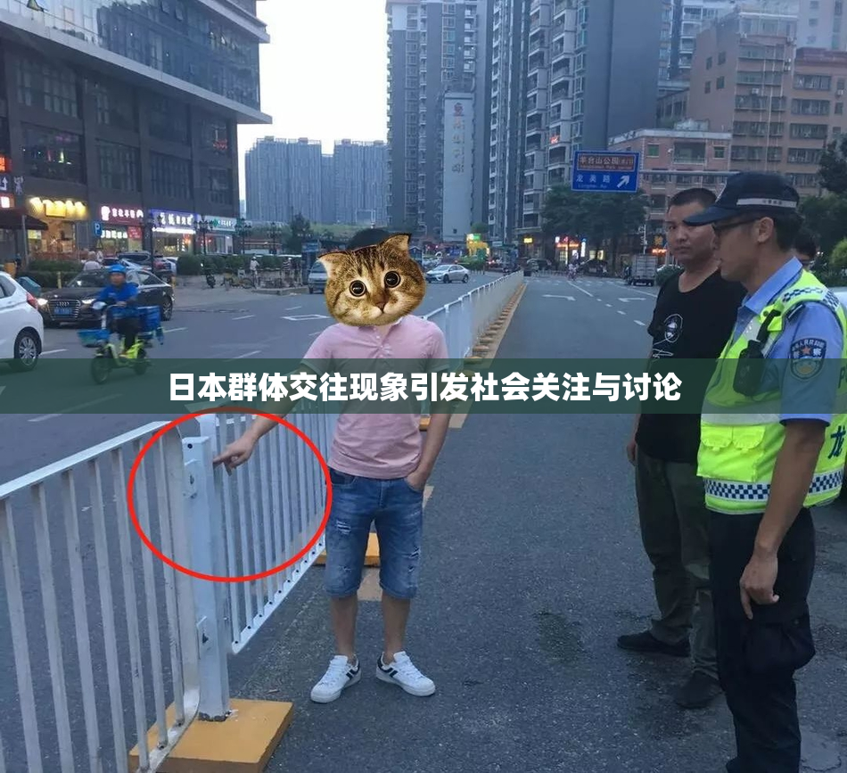 日本群体交往现象引发社会关注与讨论