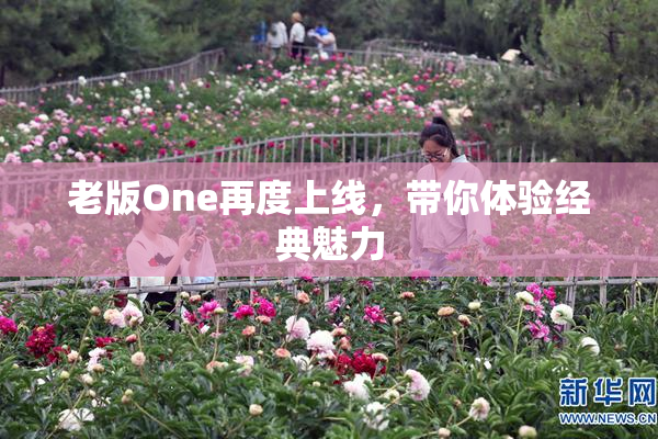 老版One再度上线，带你体验经典魅力