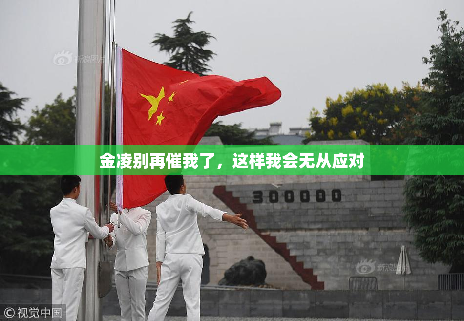 金凌别再催我了，这样我会无从应对
