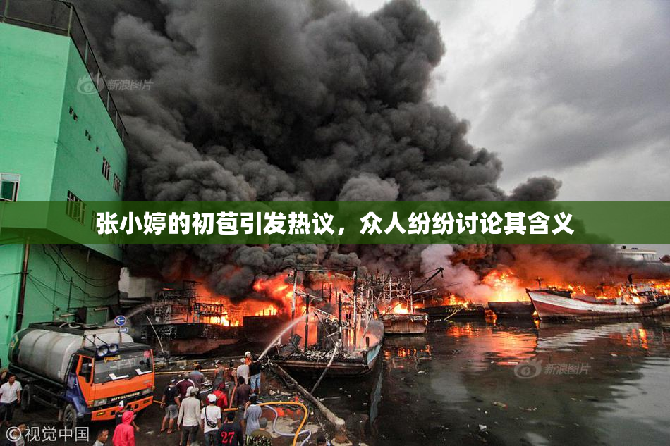 张小婷的初苞引发热议，众人纷纷讨论其含义