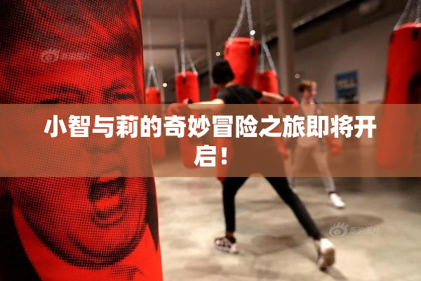小智与莉的奇妙冒险之旅即将开启！