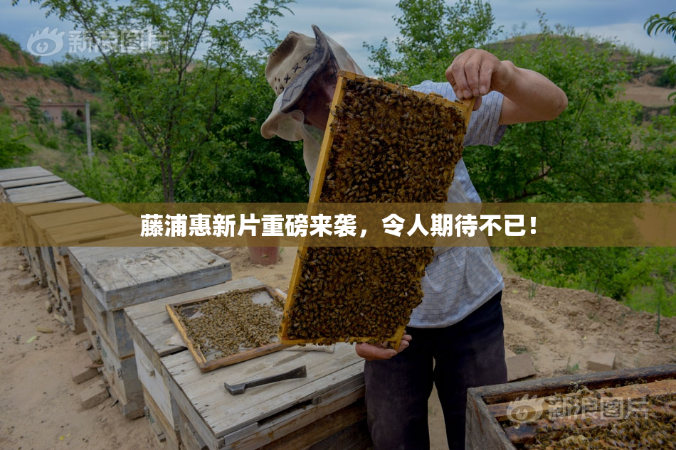 藤浦惠新片重磅来袭，令人期待不已！