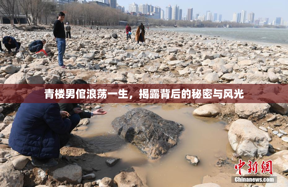 青楼男倌浪荡一生，揭露背后的秘密与风光