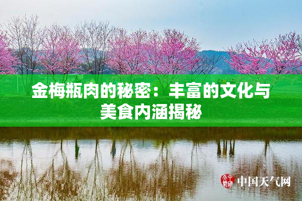 金梅瓶肉的秘密：丰富的文化与美食内涵揭秘
